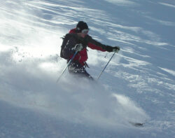 MINOLTA DIGITAL CAMERA