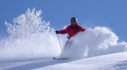 MINOLTA DIGITAL CAMERA