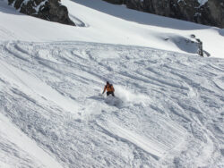 MINOLTA DIGITAL CAMERA