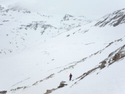 MINOLTA DIGITAL CAMERA