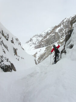 MINOLTA DIGITAL CAMERA