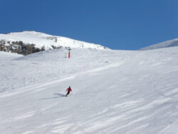 MINOLTA DIGITAL CAMERA