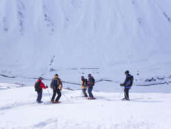 MINOLTA DIGITAL CAMERA