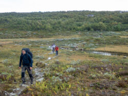 Iväg från Vålåstugorna