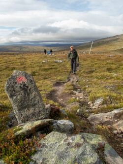 Lätt led att följa