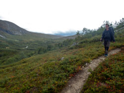 Fina leder ner mot Stendalen